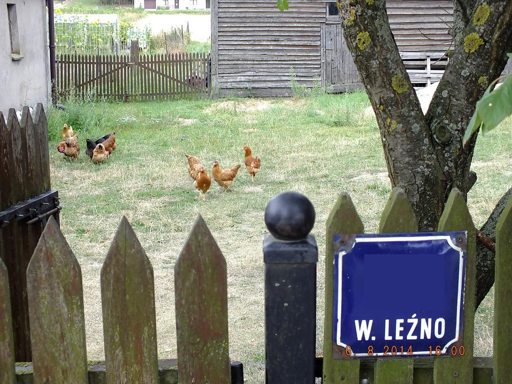 Agroturystyka Wielkie Lezno Buitenkant foto